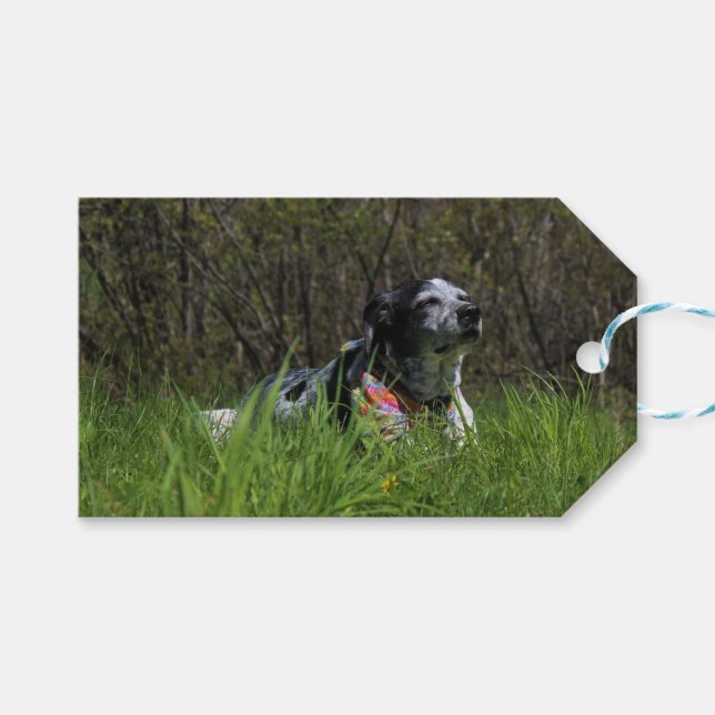 Contentment Gift Tags (Front (Horizontal))