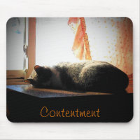 Contentment