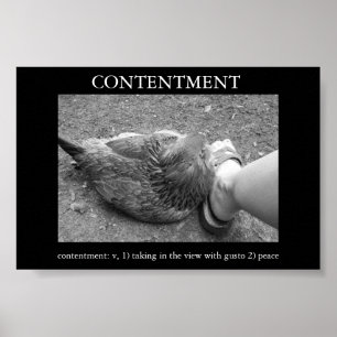 Contentment Poster