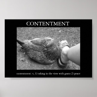 Contentment Poster