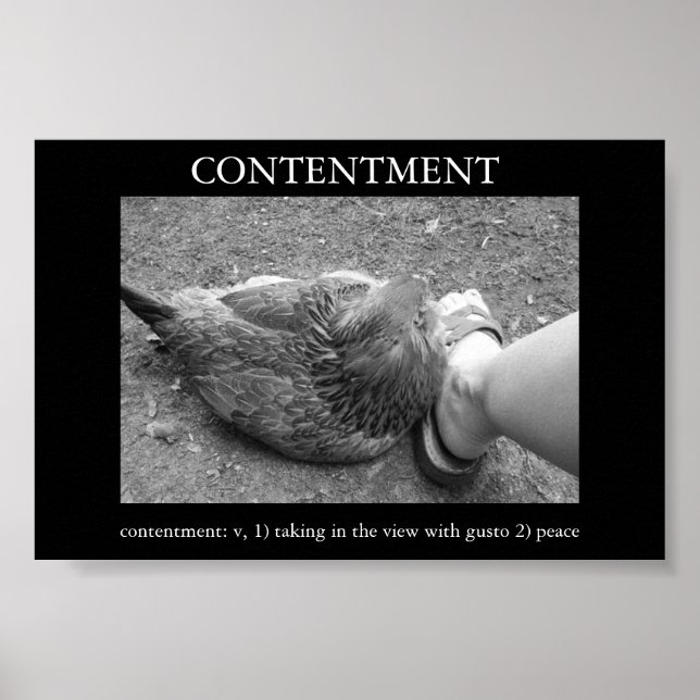 Contentment Poster (Front)