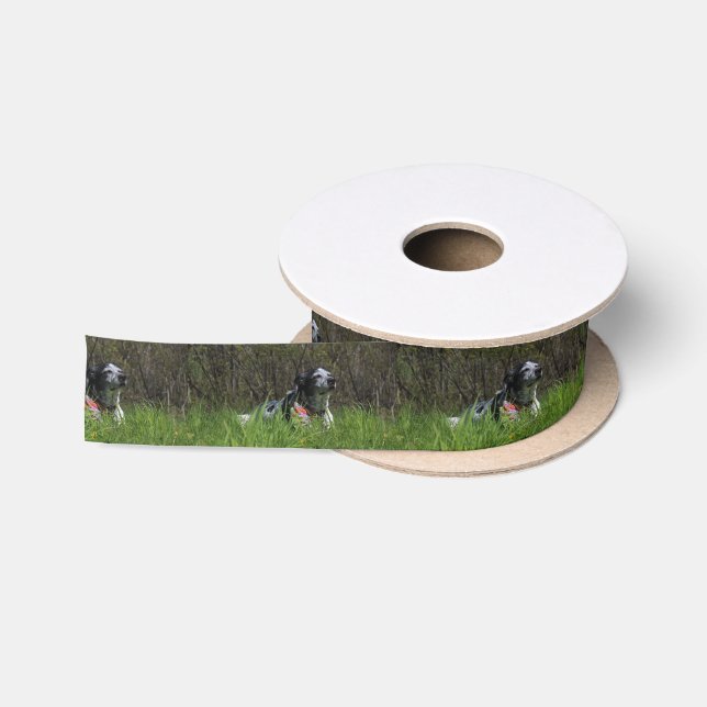 Contentment Satin Ribbon (Spool)