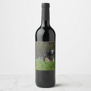 Contentment Wine Label