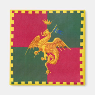 Contrada del Drago (Dragon) Palio di Siena Magnet