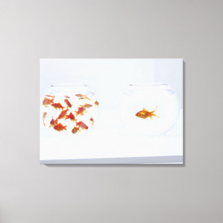 Contrast of many goldfish in fishbowl and canvas print