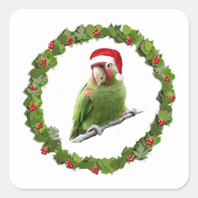 Conure Christmas Wreath Square Sticker (Front)