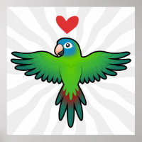 Conure / Lorikeet / Parrot Love