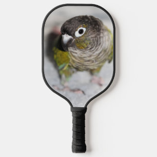 Conure  pickleball paddle