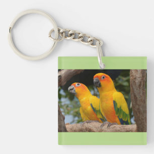 Conures Key Chain