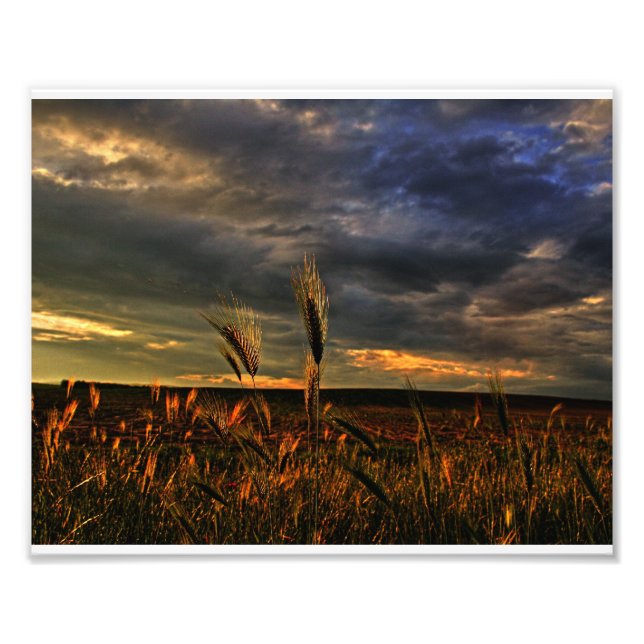 Conversation with the wind photo print (Front)