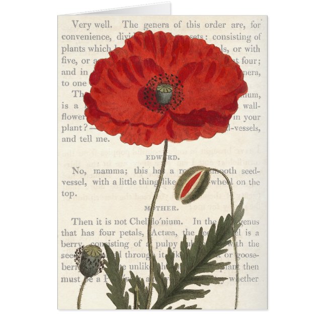 Conversations on Botany - The Common Poppy (Front)
