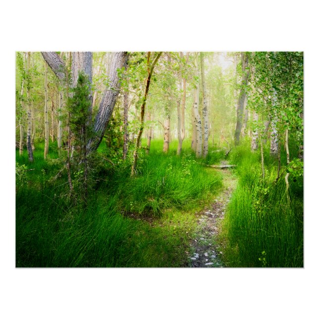 Convict Lake Aspen Meadow Wall Art Nature Print (Front)