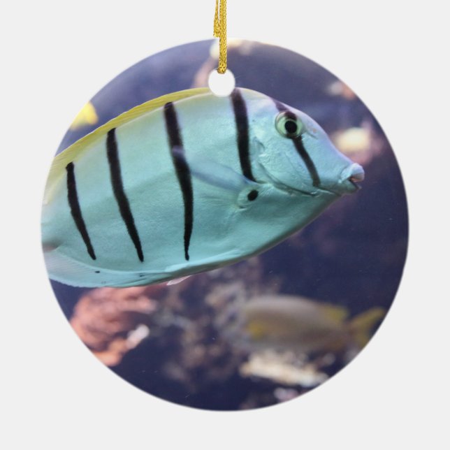 Convict Tang Gitter-Doktorfisch Ceramic Tree Decoration (Back)