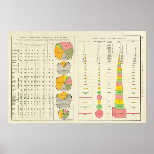 Convicts in Penitentiaries by State Poster (Front)