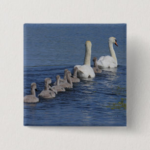 Convoy of Swans 15 Cm Square Badge