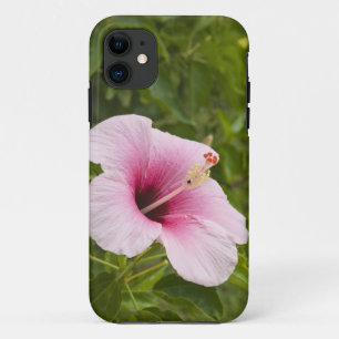 Cook Islands, Atiu. Hibiscus flower. iPhone 11 Case