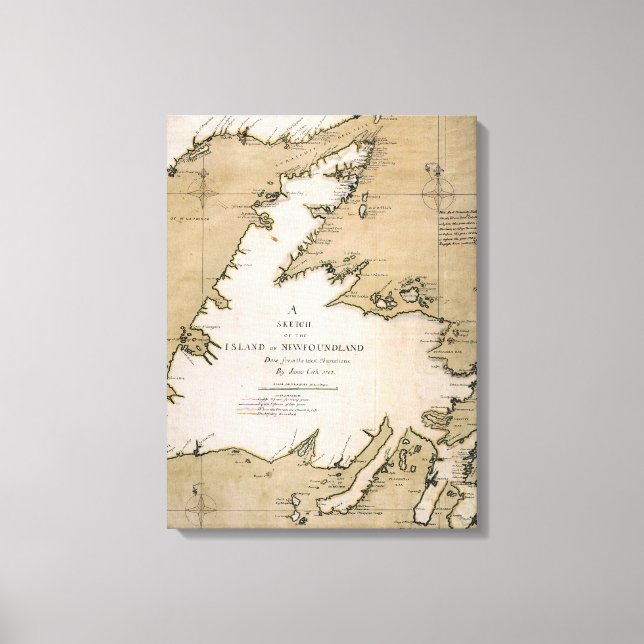 COOK: NEWFOUNDLAND, 1763 CANVAS PRINT (Front)