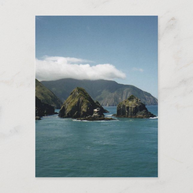 Cook Strait Postcard (Front)