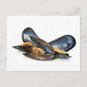 cooked mussels over white postcard