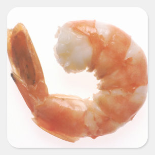 Cooked Shrimp Square Sticker
