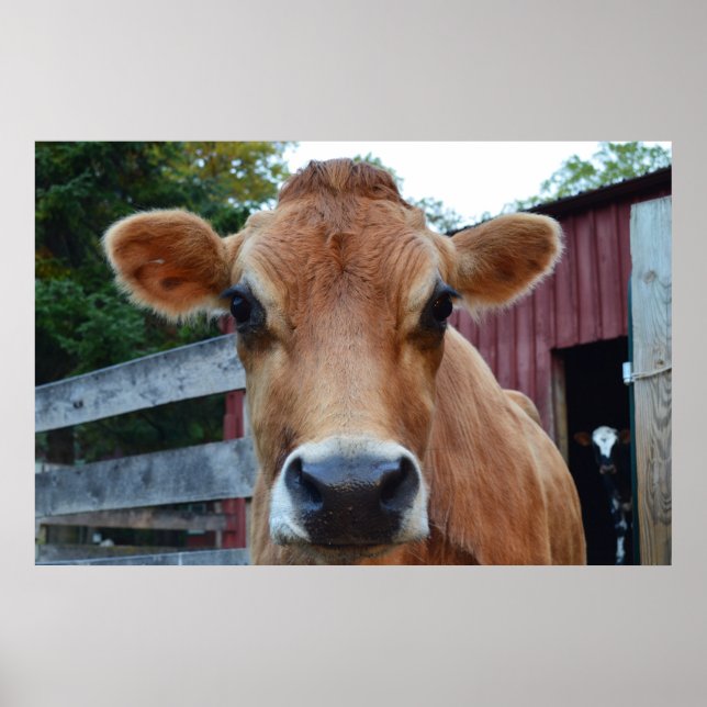 Cookie Cow Poster (Front)