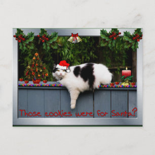 Cookie Loving Cat Postcard