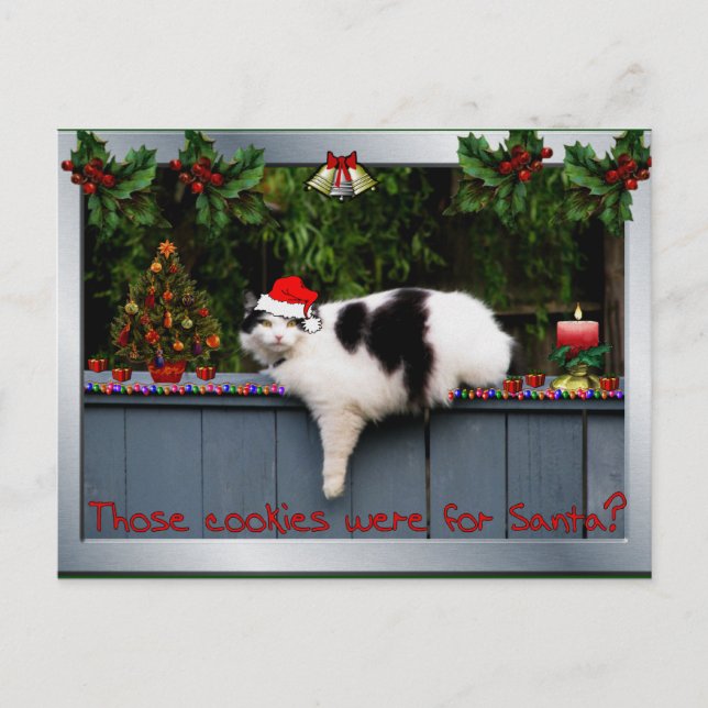 Cookie Loving Cat Postcard (Front)