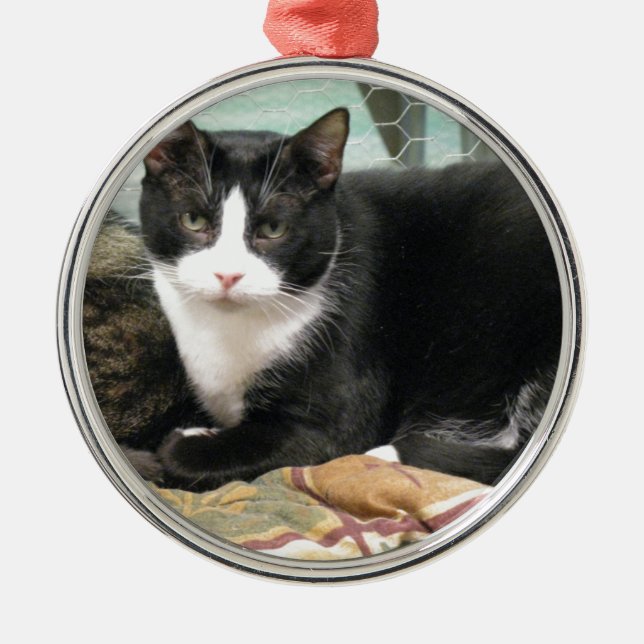 Cookie Metal Tree Decoration (Front)