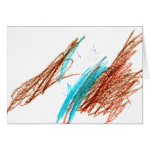 Cookie? Not a Cookie!