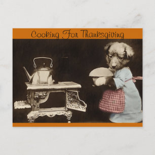 Cooking For Thanksgiving Holiday Postcard