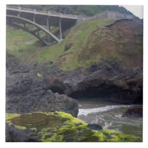 Cook's Chasm, Cape Perpetua, OR Tile