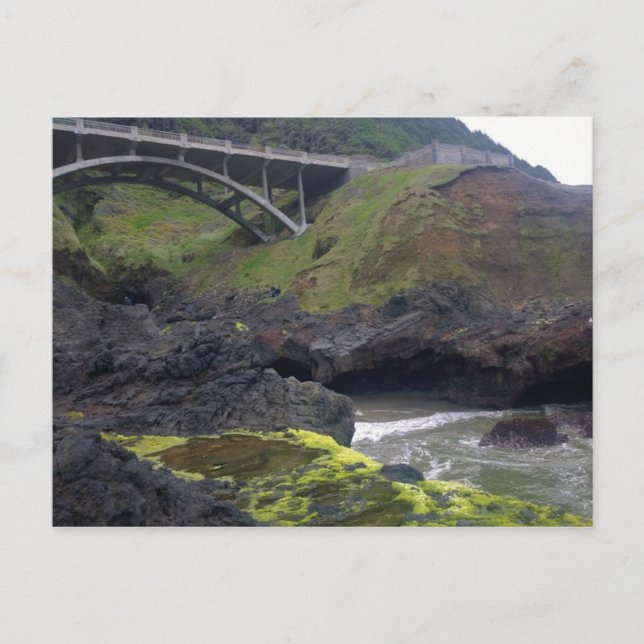 Cook's Chasm, Cape Perpetua, Oregon Postcard (Front)