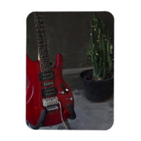 Cool Acoustic Guitar