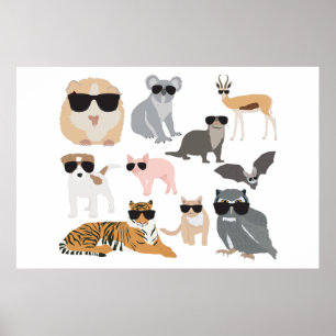 Cool and Funny Animals Wearing Sunglasses Poster