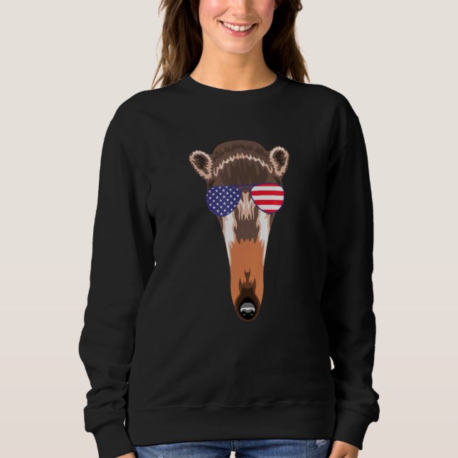 Cool Anteater Wearing Usa Flag Sunglasses Us Ameri Sweatshirt (Front)