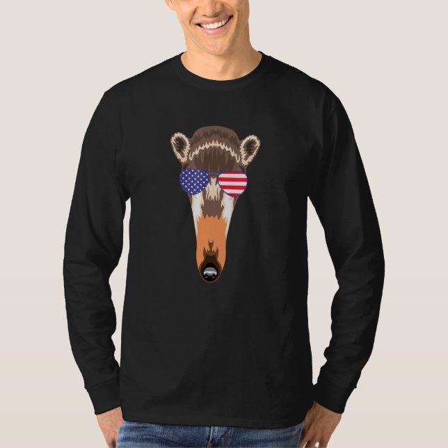 Cool Anteater Wearing Usa Flag Sunglasses Us Ameri T-Shirt (Front)