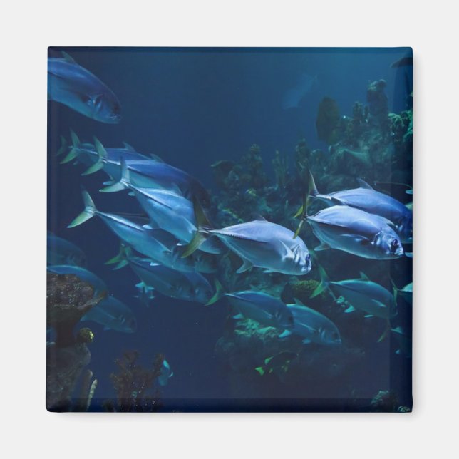 Cool Aquarium Fish Dark Water Magnet (Front)