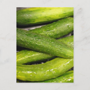 cool As A cucumber Postcard