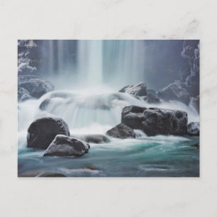 Cool as a Mountain Stream Postcard