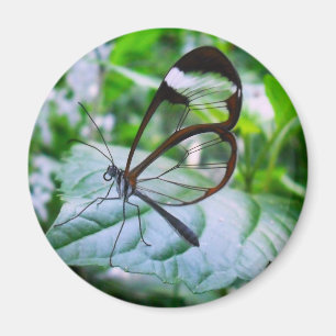 cool as glass magnet