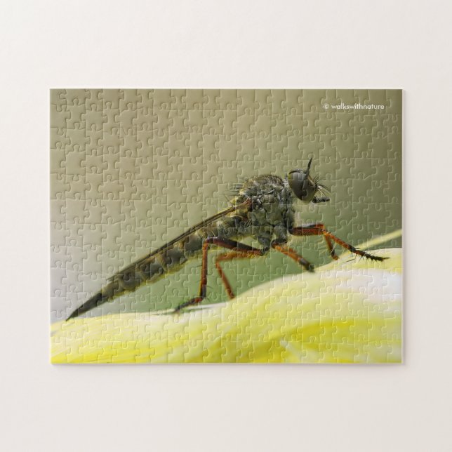 Cool Assassin Fly Bug Insect Jigsaw Puzzle (Horizontal)