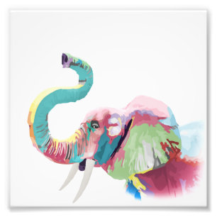 Cool awesome trendy colourful vibrant elephant photo print