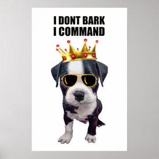 Cool baby dog with funny phrase at top poster