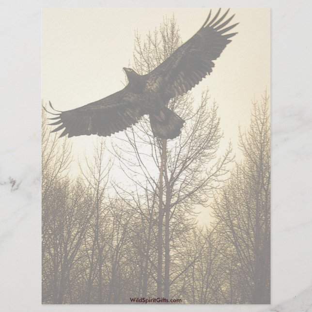 Cool Bald Eagle Wildlife Collection Personalised Letterhead (Front)