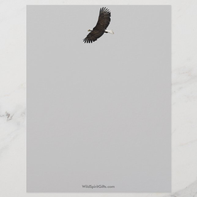Cool Bald Eagle Wildlife Collection Personalised Letterhead (Front)