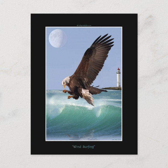 Cool Bald Eagle Wildlife Collection Postcard (Front)