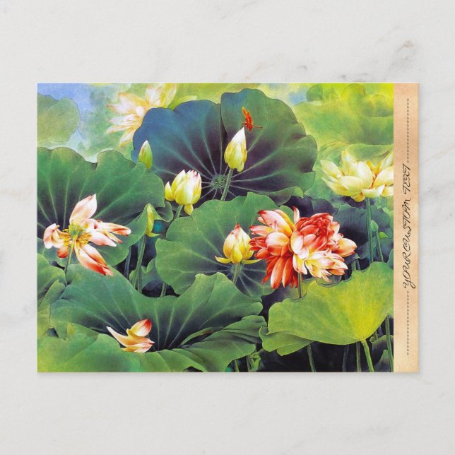 Cool beautiful chinese lotus flower green leaf art postcard (Front)