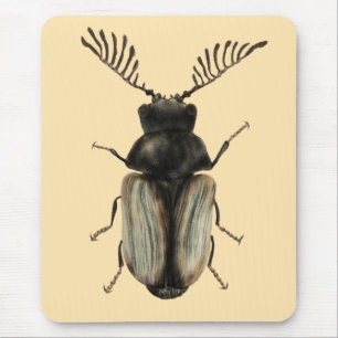 Cool beetle insect lover entomology art mouse pad