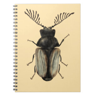Cool beetle insect lover entomology art notebook