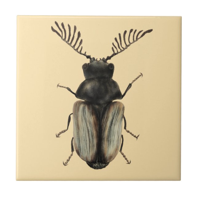 Cool beetle insect lover entomology art tile (Front)